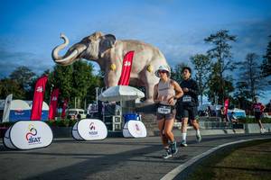 BIB: 
                            <button type="button" onclick="openModal(26541695)" class="btn btn-primary btn-sm float-right btn-popup" data-toggle="modal" data-target=".modal-high-quality">
                        <i class="fas fa-shopping-cart"></i> Add to Cart
                    </button>
                                            <button type="button" onclick="isThisMe(26541695, true)" class="btn btn-success btn-sm float-right btn-popup btn-isme hidden" data-toggle="tooltip" data-placement="bottom" title="นี่คือรูปของคุณใช่ไหม คลิกที่นี่เพื่อเอาเข้าอัลบั้ม">
                        <i class="fas fa-plus"></i> Add to album
                    </button>
                    <button type="button" onclick="isThisMe(26541695, false)" class="btn btn-warning btn-sm float-right btn-popup btn-isnotme hidden">
                        <i class="fas fa-ban"></i> Remove from album
                    </button>